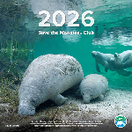 2026 Calendar