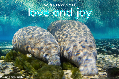 Love and Joy